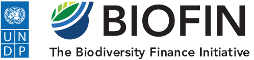 logo biofin